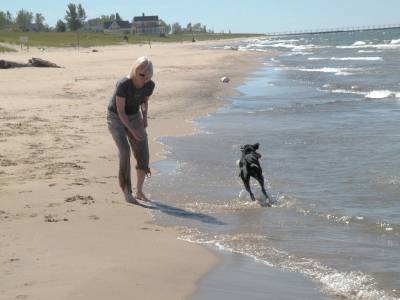 are dogs allowed on beaches in michigan