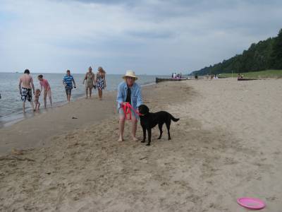 Michigan pet friendly beaches